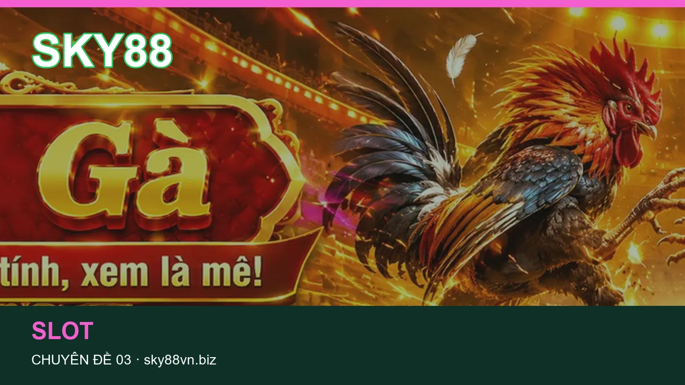 Danh sách kiểm tra thông tin Casino trực tuyến dành cho người đọc SKY88