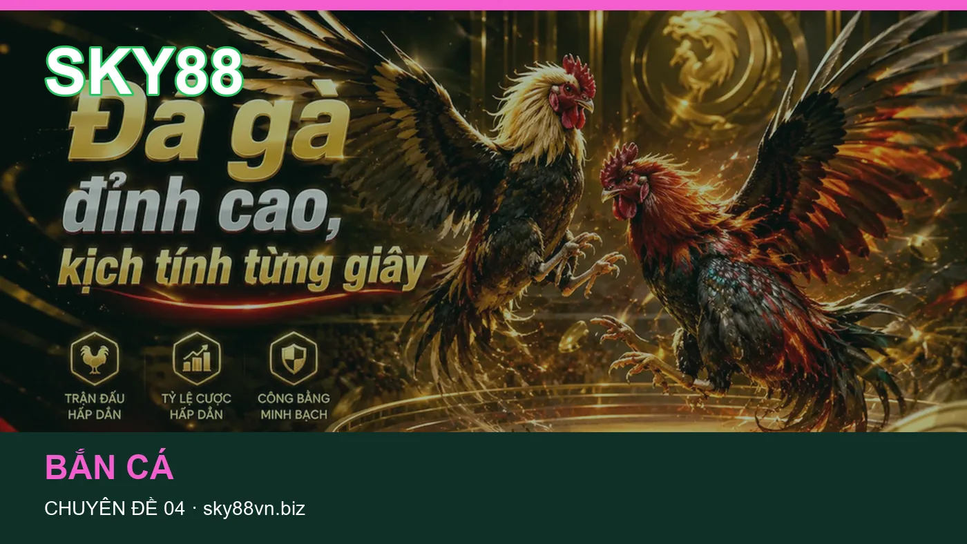 Trải nghiệm Game bài trên điện thoại cùng cẩm nang SKY88